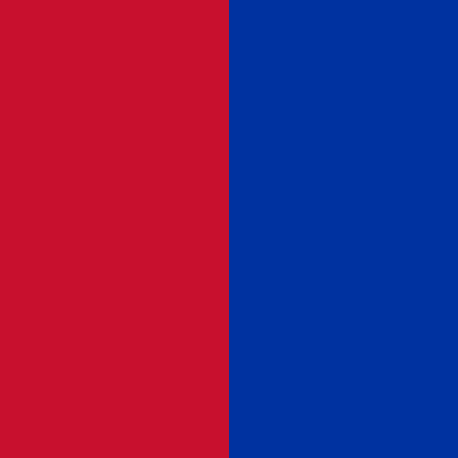 Costco Wholesale Corporation brand color palette showcasing various shades used in their branding