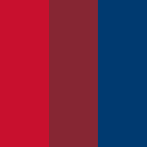 Delta Airlines brand color palette showcasing various shades used in their branding
