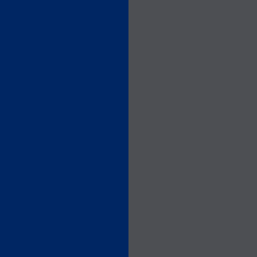 American Express brand color palette showcasing various shades used in their branding