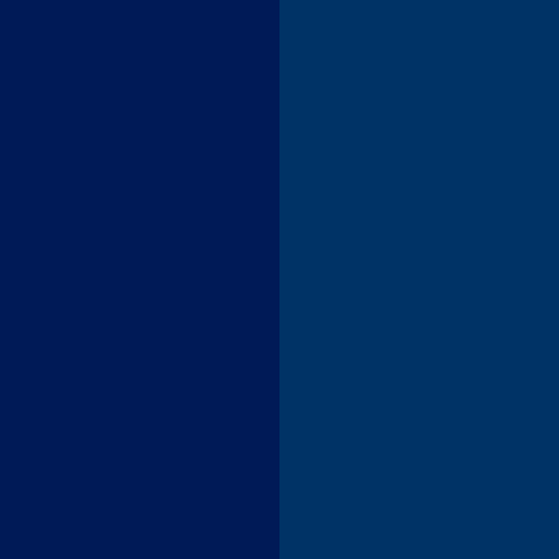 Duke University brand color palette showcasing various shades used in their branding
