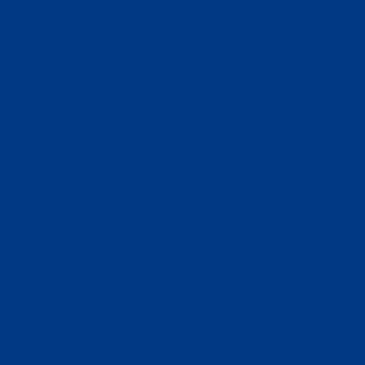 Ford Motor Company brand color palette showcasing various shades used in their branding