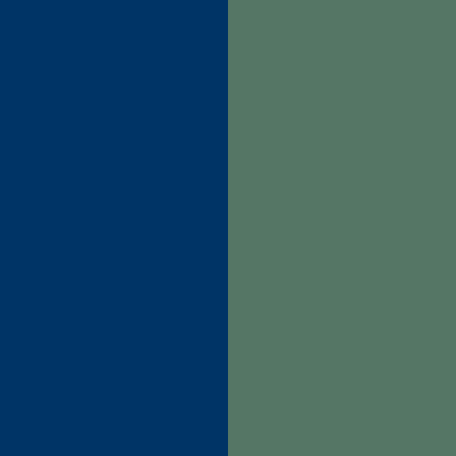 Northern Arizona University brand color palette showcasing various shades used in their branding